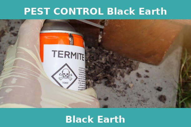 PEST CONTROL Black Earth